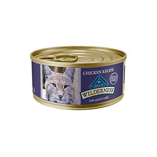 6 Best High Calorie Cat Foods for Weight Gain (2021)