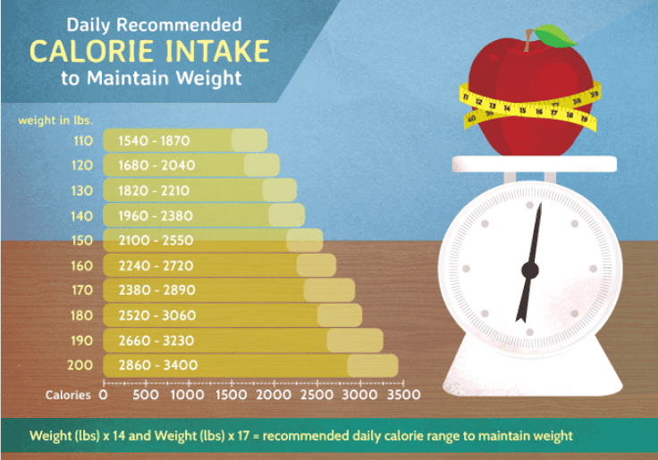 Daily Recommended Calorie Intake To Maintain Weight
