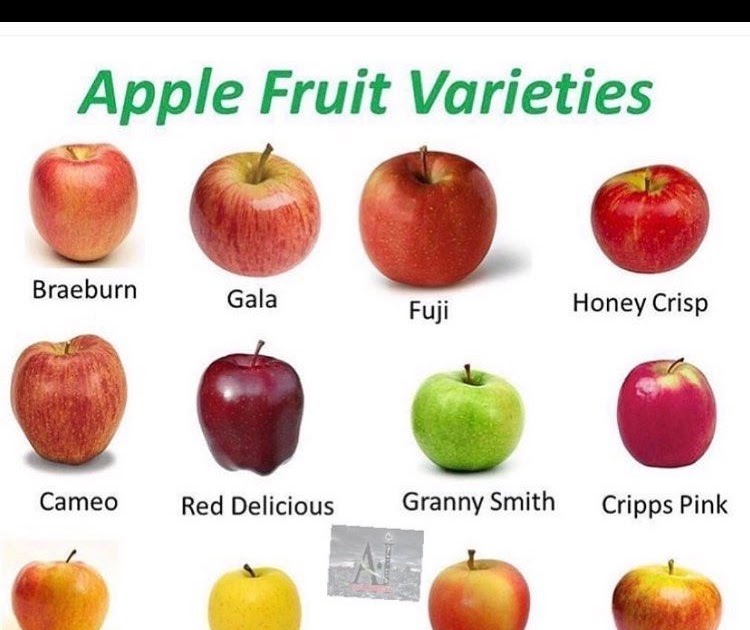 Honeycrisp Apple Nutrition Benefits