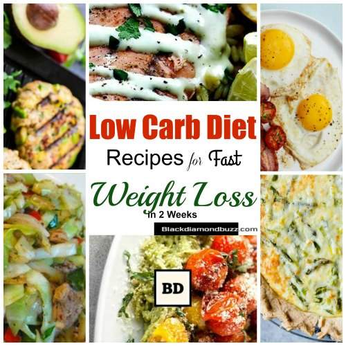 Low Carb Diet Meals Recipes for Fast Weight Loss in 2 Weeks at Home
