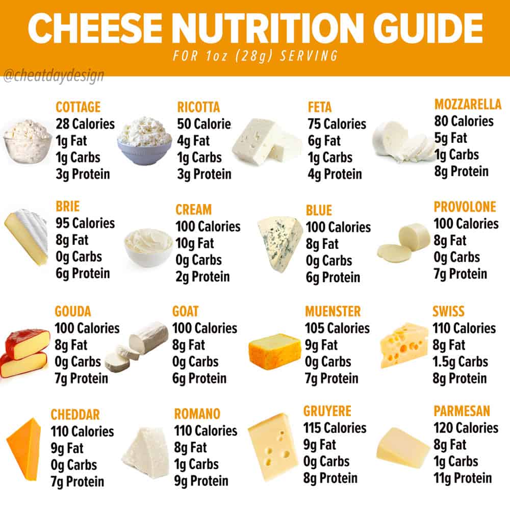 Nutrition Guide for Cheese
